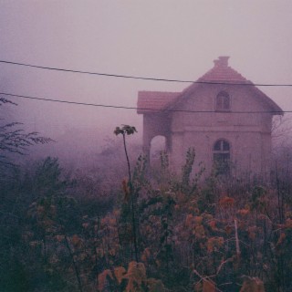 Waking Fields