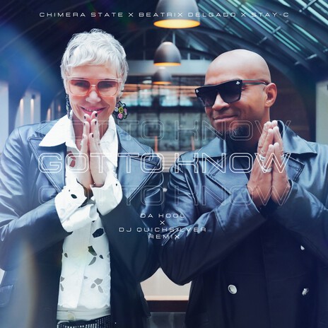 Got to Know (Da Hool X DJ Quicksilver Radio Edit) ft. Beatrix Delgado & Stay-C cover art