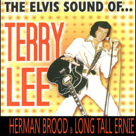 Do You Like It ft. Herman Brood & Long Tall Ernie cover art