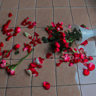 Broken Vase
