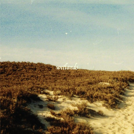 Wetlands cover art
