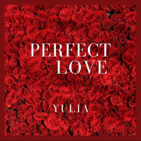 Perfect Love cover art
