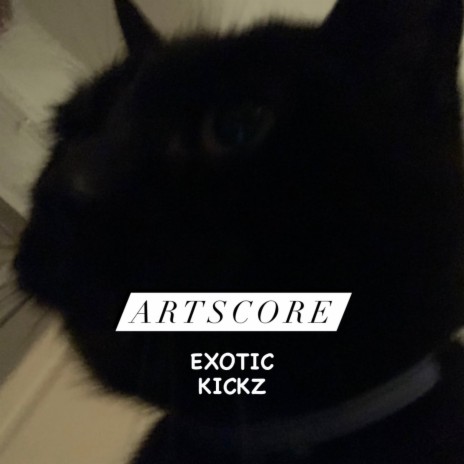 EXOTIC KICKZ cover art