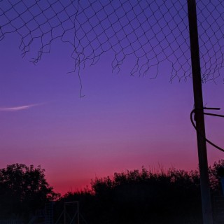 See The Stars Falling