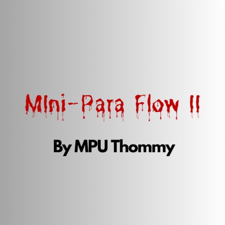 Mini-Para Flow 2