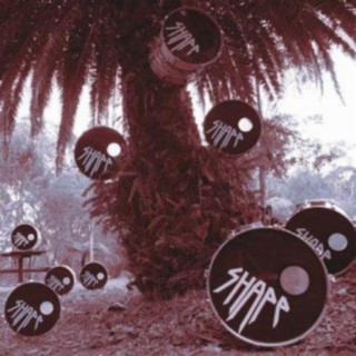 Album 2009