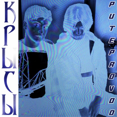 Крысы cover art