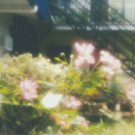 desire to leave cover art