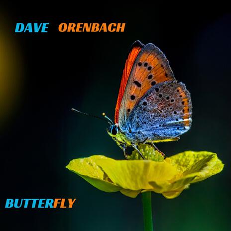 BUTTER FLY PARADE ft. P.E ROY & MARTIN LAJEUNESSE cover art