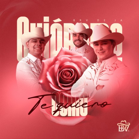 Quiéreme Como Te Quiero cover art