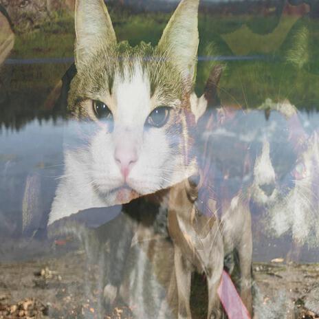 DONNY B. cover art
