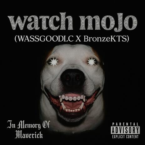 Watch Mojo ft. wassgoodlc cover art