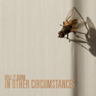 In Other Circumstances