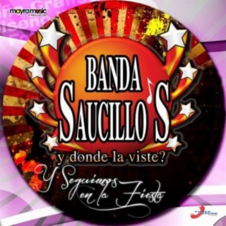 Banda Saucillos