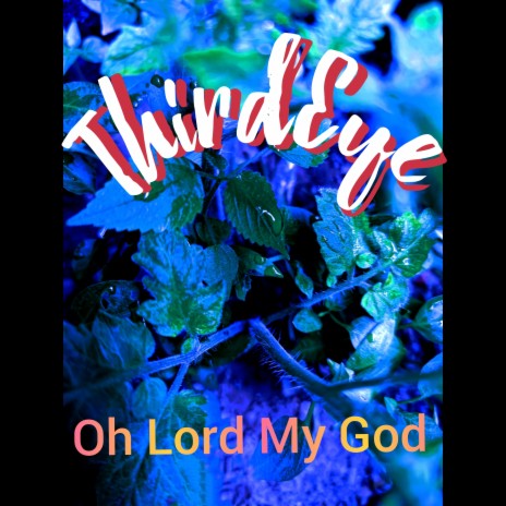 Oh Lord My God (Instrumental Version) cover art