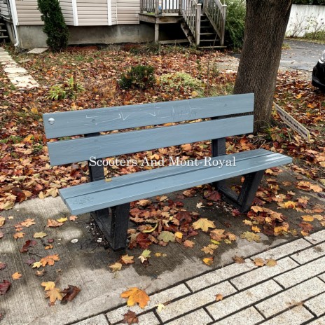 Scooters And Mont-Royal cover art