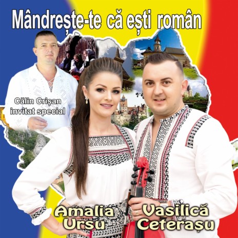 Soferia E Frumoasa ft. Vasilica Ceterasu' cover art