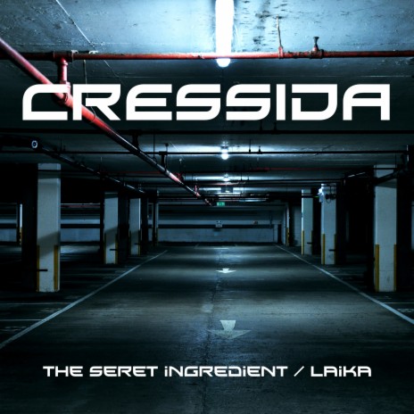 The Secret Ingredient (Original Mix) cover art