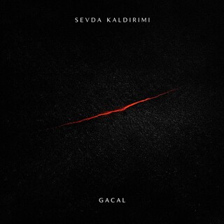 Sevda Kaldırımı cover art