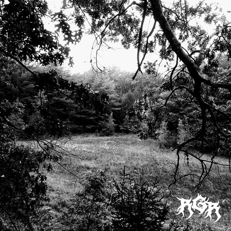 369 Acid (Original Mix) cover art