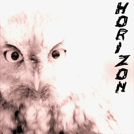 The Dollar cover art