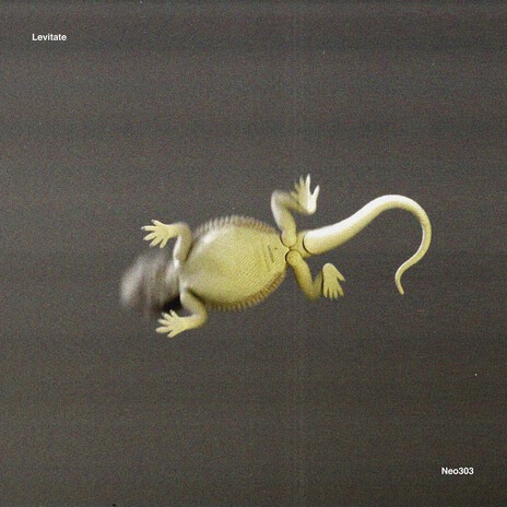 Levitate cover art