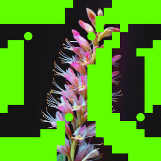 Better O'be New (Roy Rosenfeld Remix) ft. Rromarin cover art