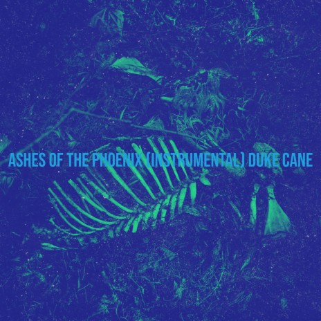 Ashes of the Phoenix (Instrumental)
