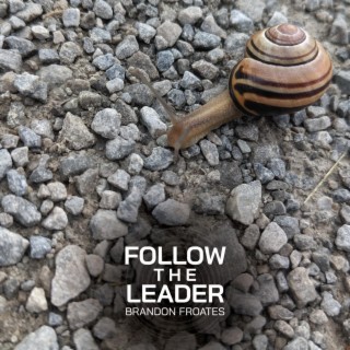Follow the Leader