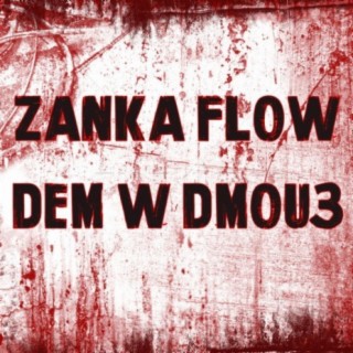 Zanka Flow