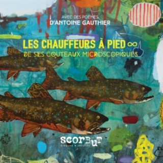 Les Chauffeurs À Pieds