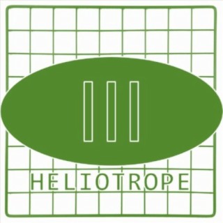 Heliotrope