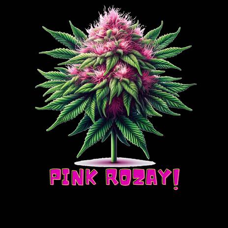 Pink Rozay! cover art