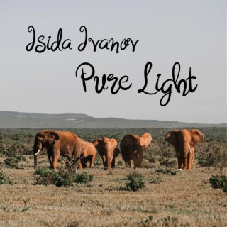 Pure Light