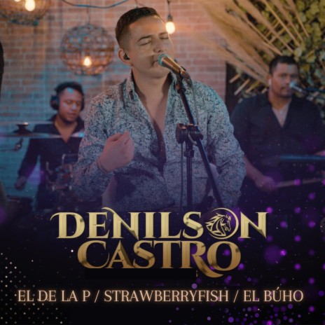 El de la P / Strawberryfish / El Búho cover art