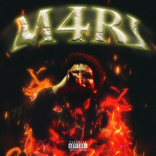 The M4Ri Tape 2