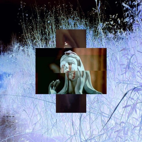 fixation