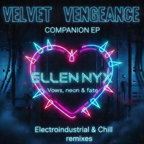 Vengeance in the Shadows (Spaced Out Mix) cover art