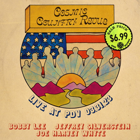 Trip Sitter (Live) cover art