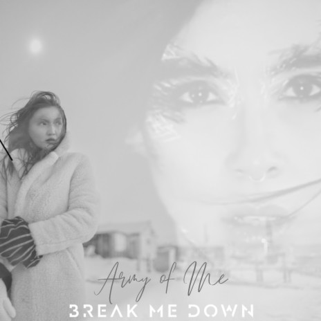 Army Of Me cover art
