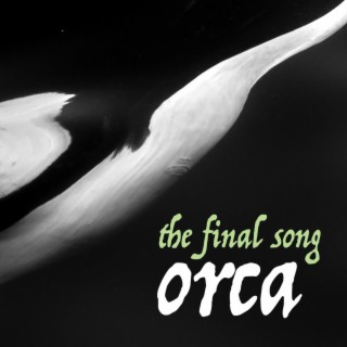 Orca