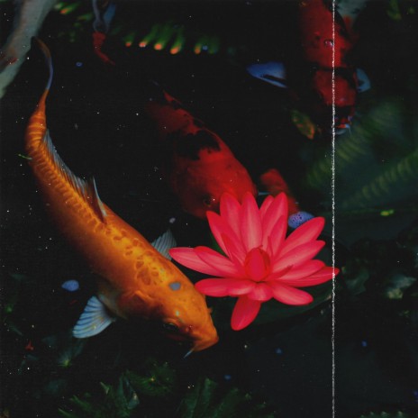 As You Wish cover art