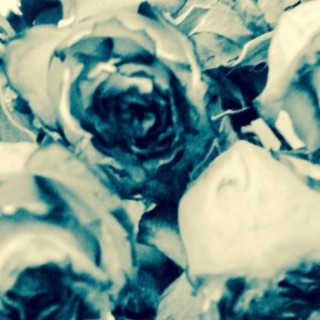 Withered Rose Tattoo cover art