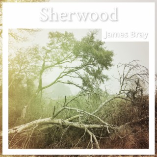 James Bray