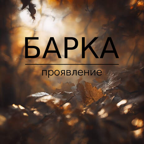 Проявление cover art