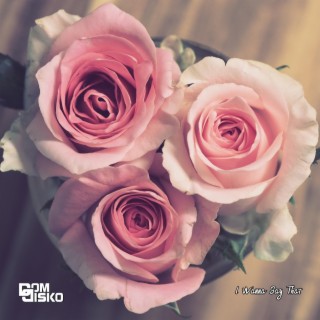 I Wanna Say That cover art