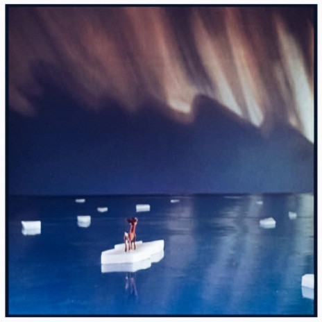 Dreams Come True cover art