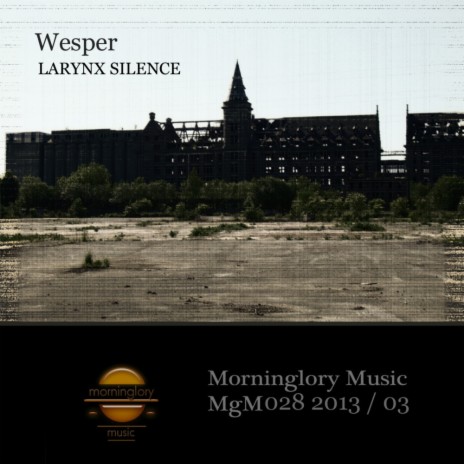 Larynx Silence Album Mix (Original Mix) cover art