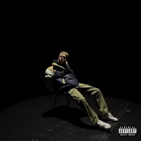 NENUSPĖJAMAS cover art