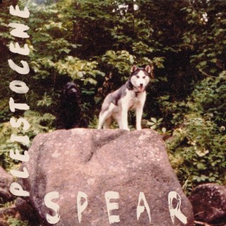 Spear